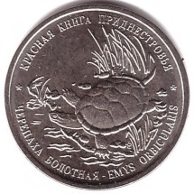 Черепаха болотная