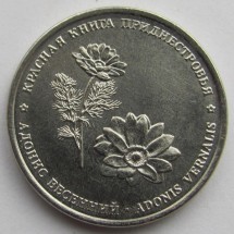 Адонис весенний
