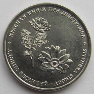 Адонис весенний Адонис весенний
