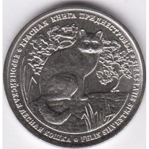 Европейская лесная кошка
