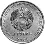 Ирис понтический1