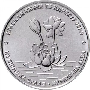 Кувшинка белая