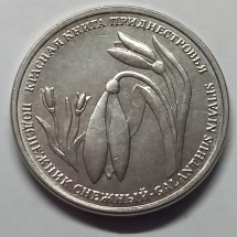 Подснежник снежный