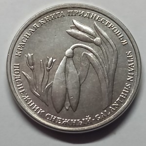 Подснежник снежный Подснежник снежный