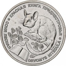 Соня лесная