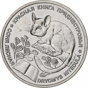 Соня лесная