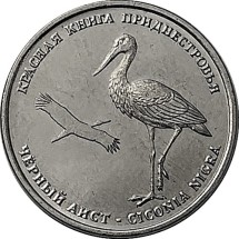 Чёрный аист